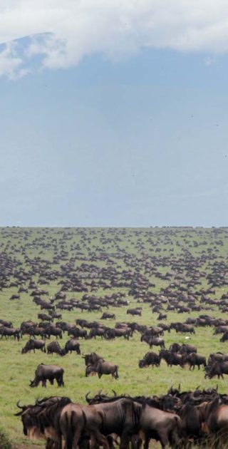 slideshow_destination_tanzanie_10