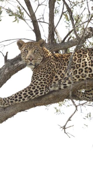 slideshow_destination_tanzanie_5