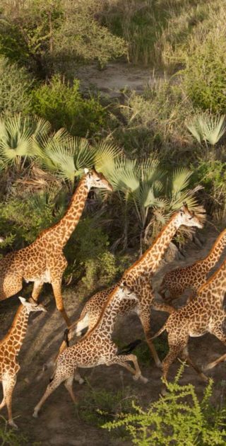 slideshow_destination_tanzanie_7