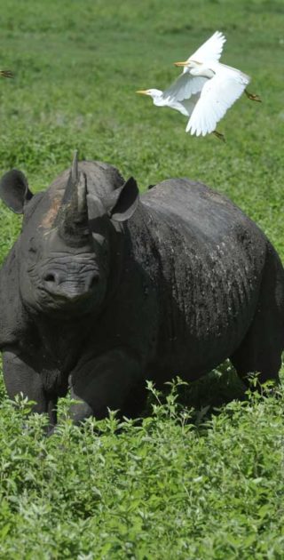 slideshow_tanzanie_6