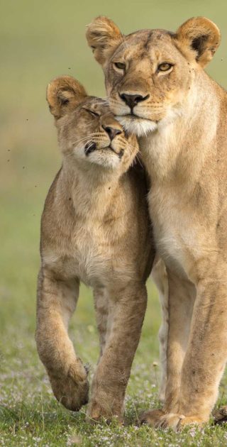 slideshow_tanzanie_7