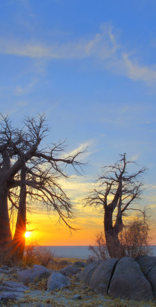 02-botswana-les-pans