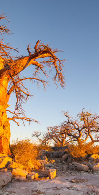 03-botswana-les-pans