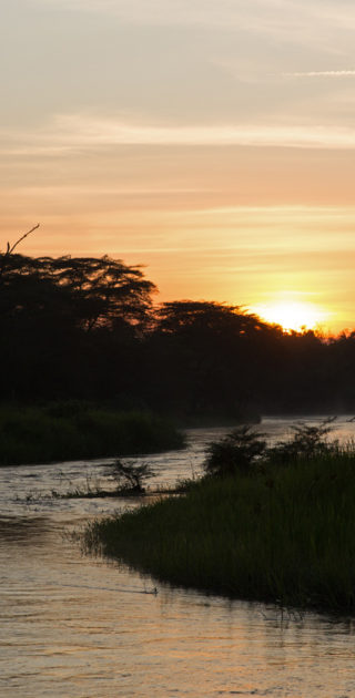 06-queen-elizabeth-national-park-ouganda