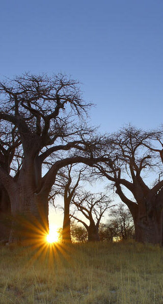 07-botswana-les-pans