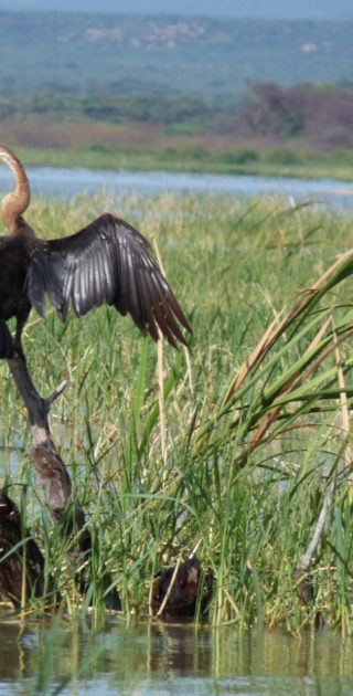 08-baringo-bogoria-kenya