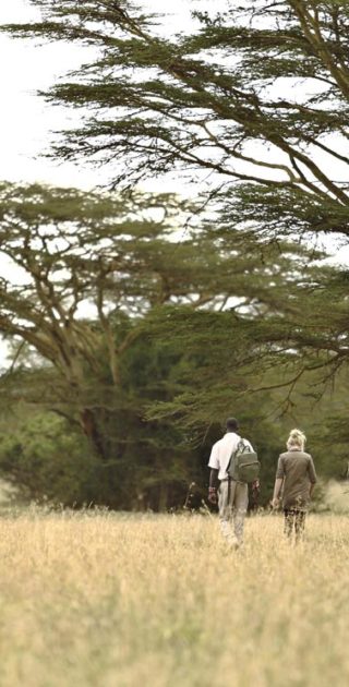 14-caberdare-solio-ol-pejata-kenya