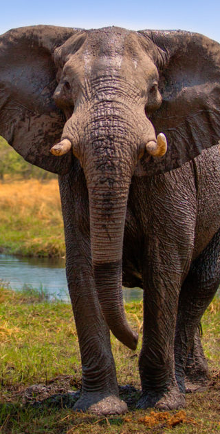 15-botswana-delta-okavango