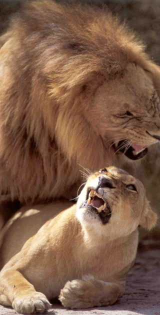 17-damaraland-nambie