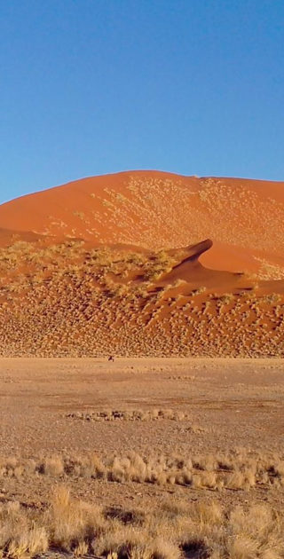 17-namib-namibie