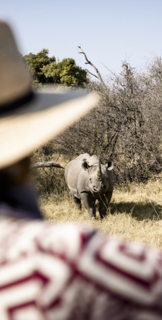 Africa; Botswana; Okavango Delta; Sanctuary Chief's Camp