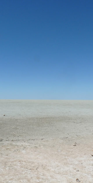 19-etosha-namibie