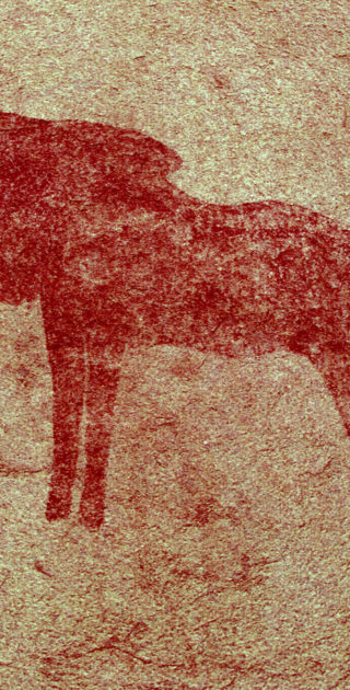 20-damaraland-nambie