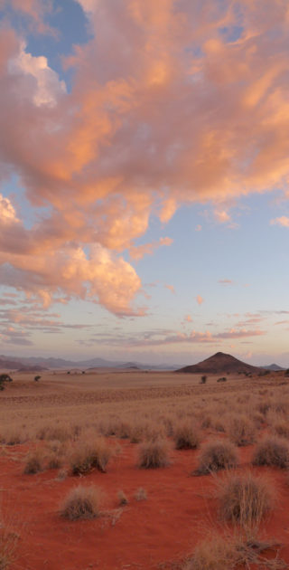 20-namib-naukluft-nambie