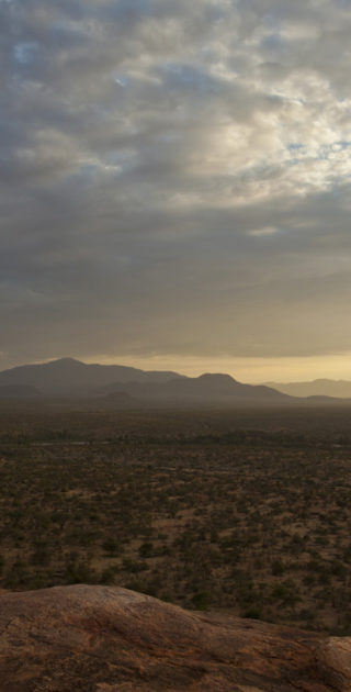 SASAAB - Samburu warior scanning the horizon