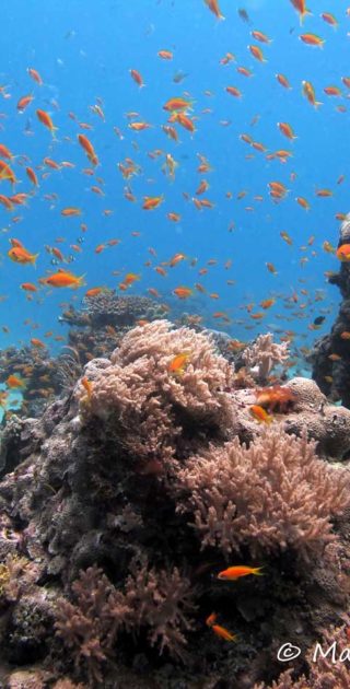 slideshow_balneaire_10