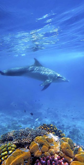 slideshow_balneaire_2