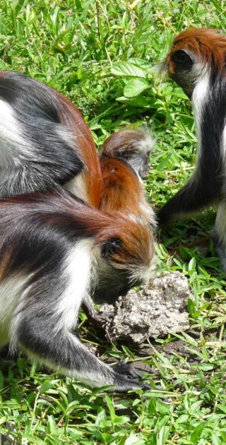 slideshow_balneaire_6