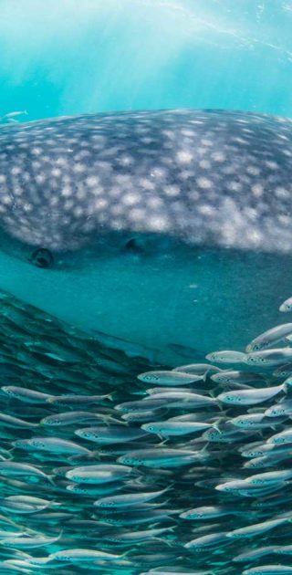 slideshow_balneaire_7