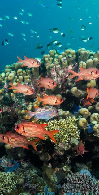 slideshow_balneaire_8