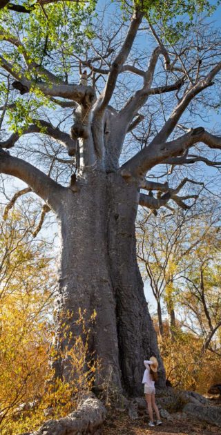 slideshow_botswana_1