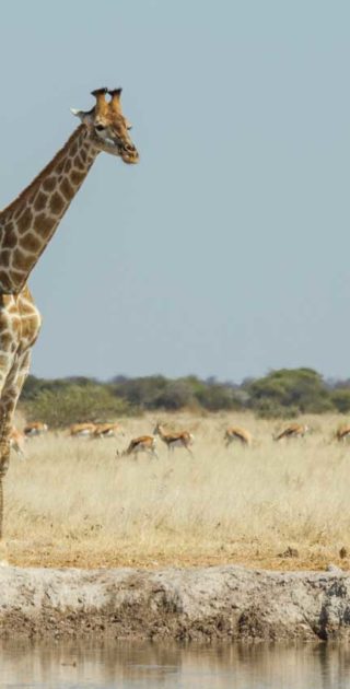 slideshow_botswana_6