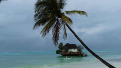 Zanzibar : Four Seasons annonce un nouveau resort  (27/01/2024)