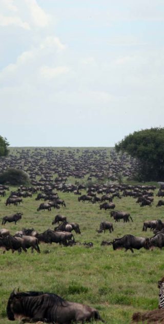 slideshow_destination_kenya_10