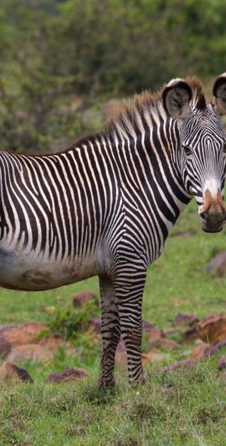 slideshow_destination_kenya_8