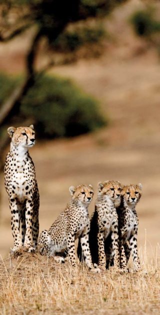 slideshow_destination_kenya_9