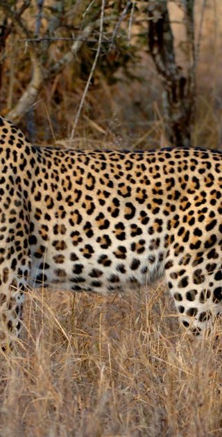 slideshow_destination_namibie_8