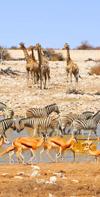 slideshow_destination_namibie_9