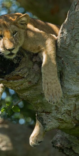 slideshow_destination_ouganda_7