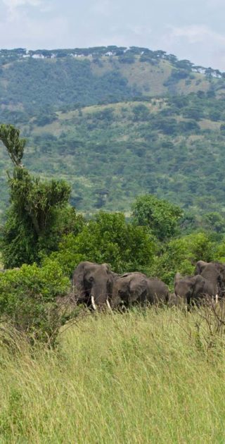 slideshow_destination_ouganda_9