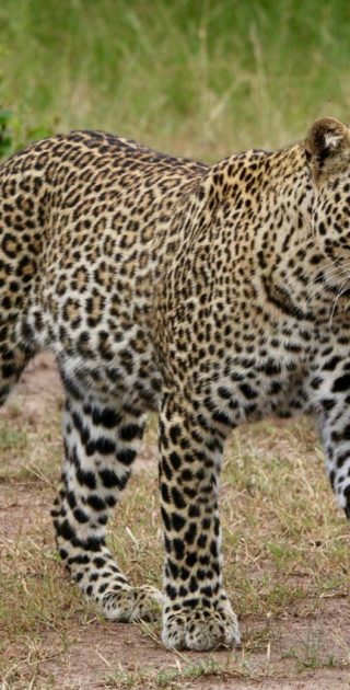 slideshow_itineraire_kenya_10nuits_1