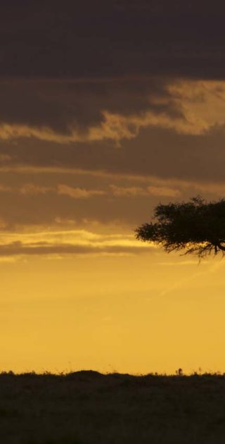 slideshow_itineraire_kenya_10nuits_2