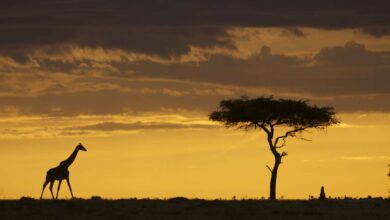 Médiation du Tourisme : « Il n’est plus possible de traiter le consommateur comme il est traité actuellement » (18/03/2023)