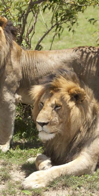 slideshow_itineraire_kenya_10nuits_5