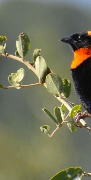 slideshow_itineraire_kenya_11nuits_1