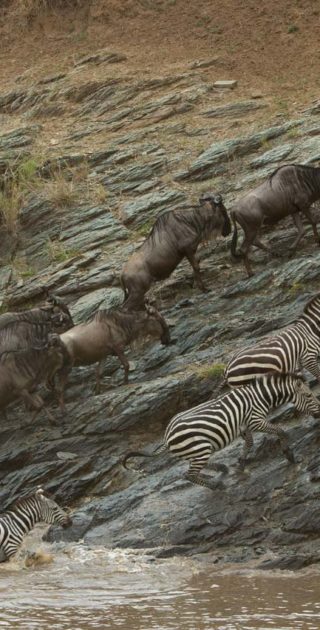 slideshow_itineraire_kenya_11nuits_3