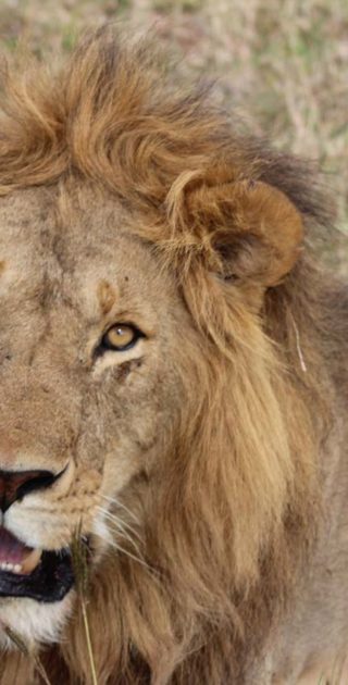 slideshow_itineraire_kenya_11nuits_4