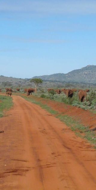 slideshow_itineraire_kenya_11nuits_6