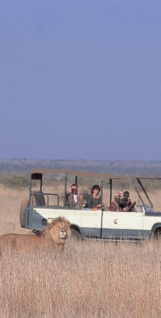 slideshow_itineraire_kenya_7nuits_2