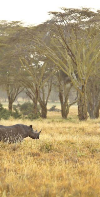 slideshow_itineraire_kenya_7nuits_3