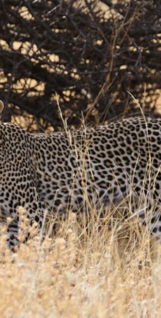 slideshow_itineraire_kenya_7nuits_4