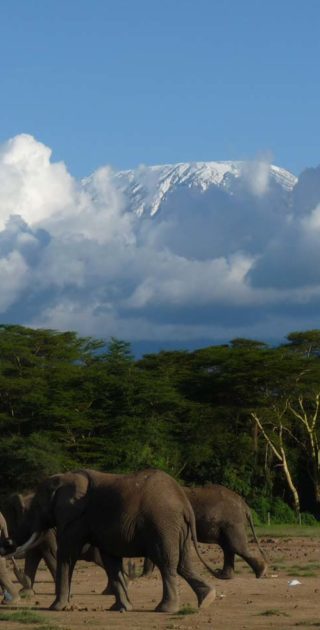 slideshow_itineraire_kenya_9nuits_1