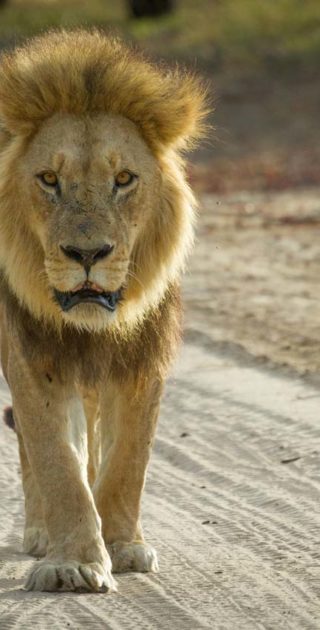 slideshow_itineraire_kenya_9nuits_3