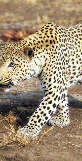 slideshow_itineraire_namibie_8nuits_victoria_3