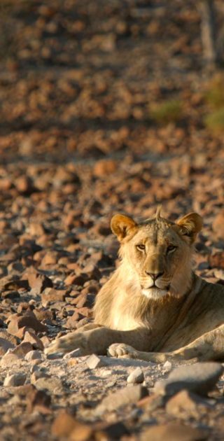 slideshow_itineraire_namibie_9nuits_1