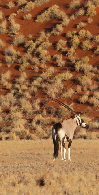 slideshow_itineraire_namibie_9nuits_4